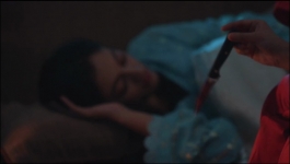 Apollena - 15th February 2025